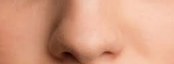 Nose